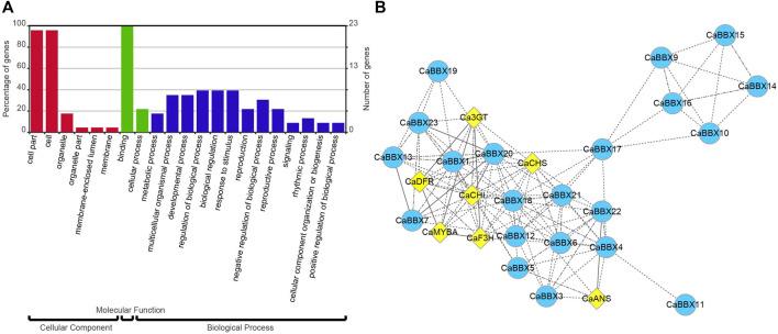 https://cdn.ncbi.nlm.nih.gov/pmc/blobs/2145/8918674/d3847a2c7789/fgene-13-847328-g005.jpg