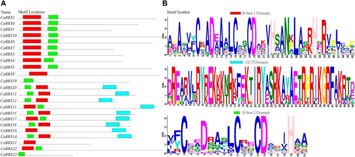https://cdn.ncbi.nlm.nih.gov/pmc/blobs/2145/8918674/eac8fc08ff49/fgene-13-847328-g001.jpg