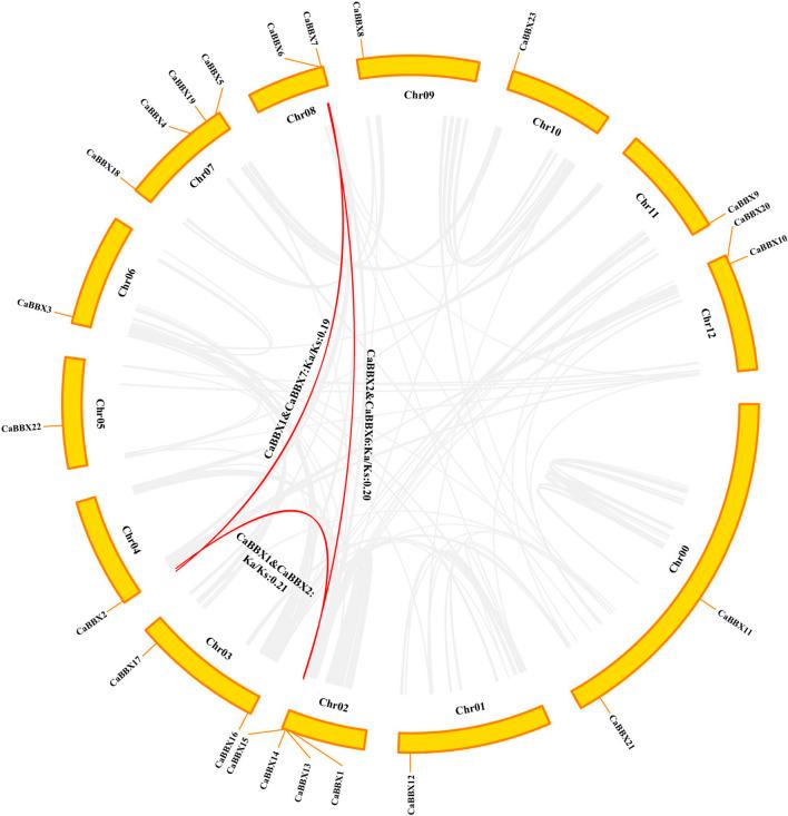 https://cdn.ncbi.nlm.nih.gov/pmc/blobs/2145/8918674/efed3ef30060/fgene-13-847328-g003.jpg