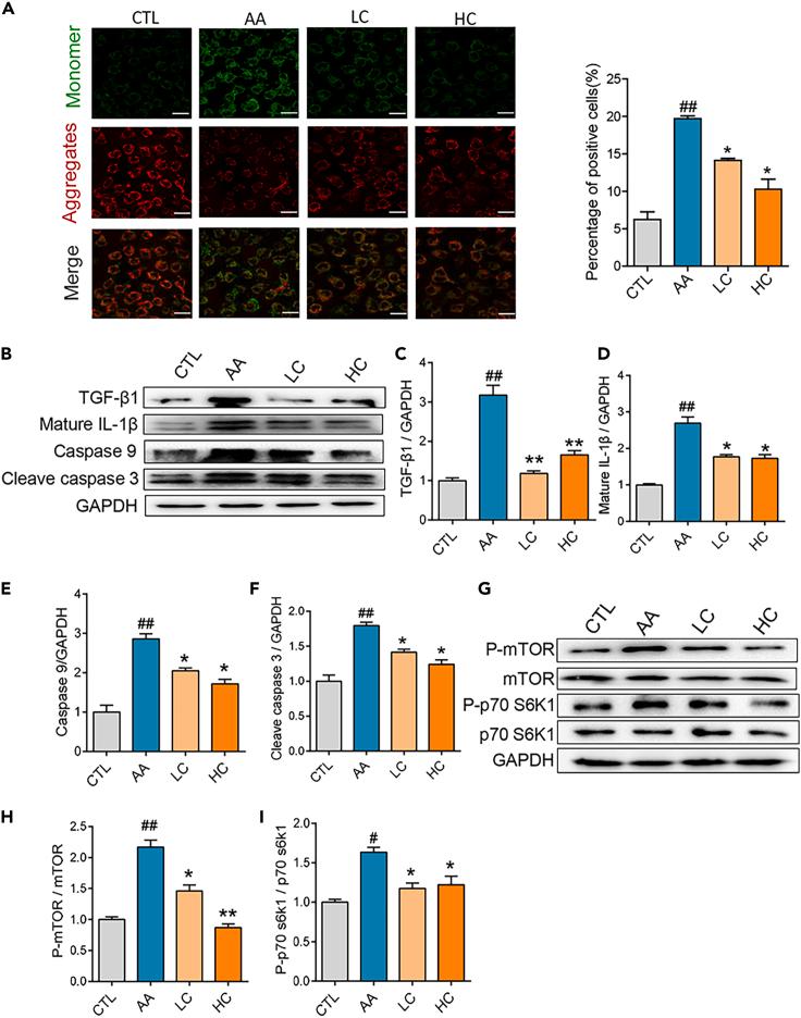 https://cdn.ncbi.nlm.nih.gov/pmc/blobs/2148/10507131/209d34415b38/gr5.jpg
