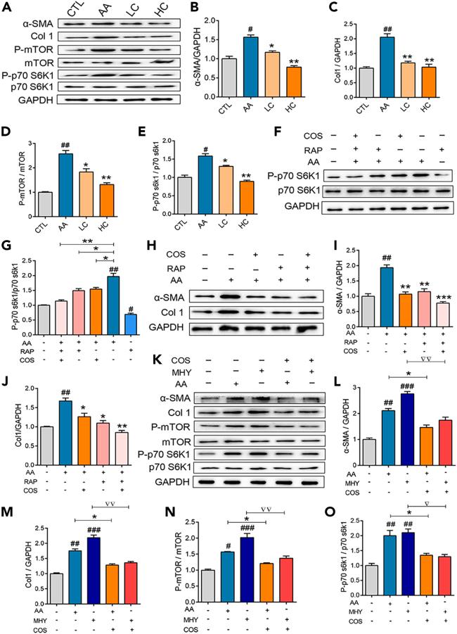 https://cdn.ncbi.nlm.nih.gov/pmc/blobs/2148/10507131/84764e5497b1/gr6.jpg