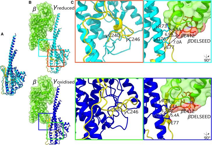 https://cdn.ncbi.nlm.nih.gov/pmc/blobs/2148/8106487/52b61f46f9fe/BST-49-541-g0003.jpg