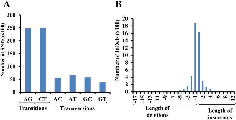 https://cdn.ncbi.nlm.nih.gov/pmc/blobs/214a/7719167/25813b508663/41598_2020_78256_Fig2_HTML.jpg