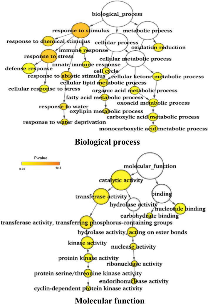 https://cdn.ncbi.nlm.nih.gov/pmc/blobs/214a/7719167/72086719b2a5/41598_2020_78256_Fig6_HTML.jpg
