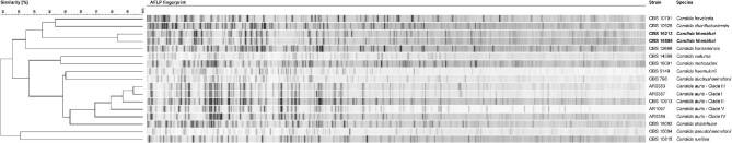 https://cdn.ncbi.nlm.nih.gov/pmc/blobs/214a/9936790/62aa4dbcbaad/myad009fig1.jpg
