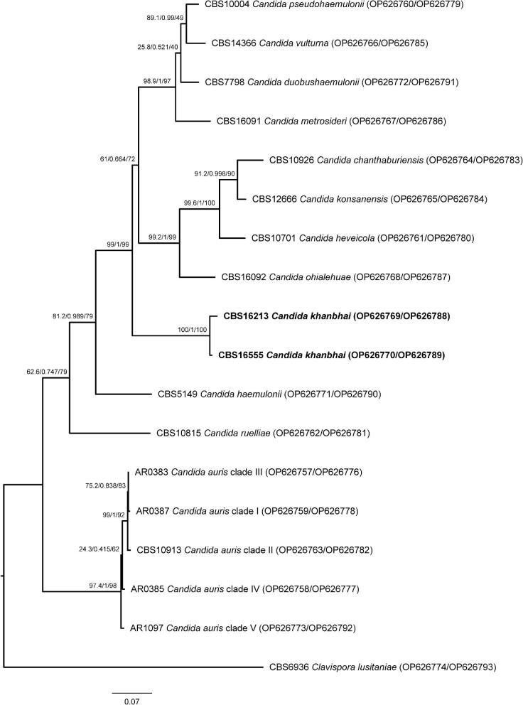 https://cdn.ncbi.nlm.nih.gov/pmc/blobs/214a/9936790/7c2aad69efb8/myad009fig2.jpg