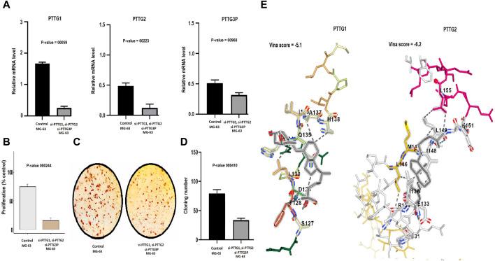 https://cdn.ncbi.nlm.nih.gov/pmc/blobs/214b/11319144/656c937a22b1/fgene-15-1431668-g006.jpg