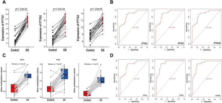 https://cdn.ncbi.nlm.nih.gov/pmc/blobs/214b/11319144/6d00506a3803/fgene-15-1431668-g001.jpg
