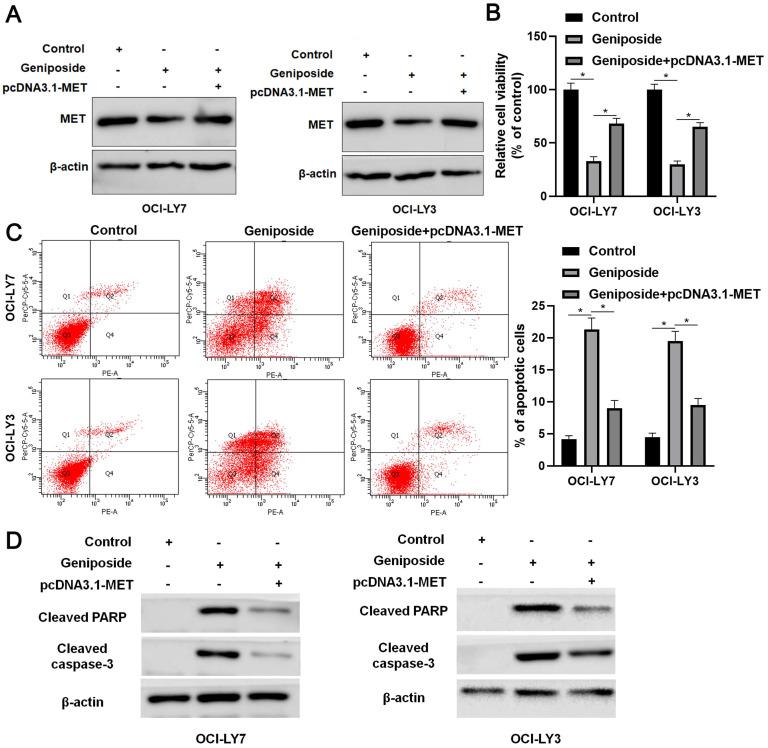 https://cdn.ncbi.nlm.nih.gov/pmc/blobs/214f/7645330/502dcf6df5ed/ijmsv17p2735g005.jpg