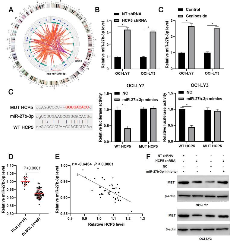 https://cdn.ncbi.nlm.nih.gov/pmc/blobs/214f/7645330/a54b5b3ac5d5/ijmsv17p2735g004.jpg