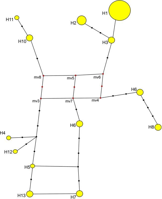 https://cdn.ncbi.nlm.nih.gov/pmc/blobs/2151/4324630/f62ebda4a7c9/pone.0117069.g003.jpg
