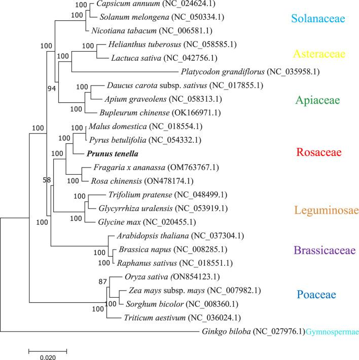 https://cdn.ncbi.nlm.nih.gov/pmc/blobs/2153/10811783/9f0c7980822e/fgene-14-1329060-g006.jpg