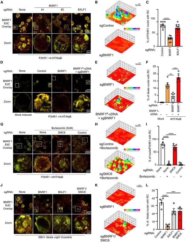https://cdn.ncbi.nlm.nih.gov/pmc/blobs/2153/8981113/0f833539049a/nihms-1787420-f0006.jpg