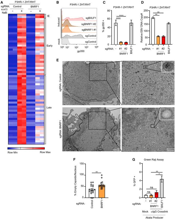 https://cdn.ncbi.nlm.nih.gov/pmc/blobs/2153/8981113/f767e0723180/nihms-1787420-f0005.jpg