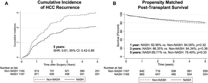 https://cdn.ncbi.nlm.nih.gov/pmc/blobs/2154/9294152/2236b12b8035/ti-35-10175-g002.jpg