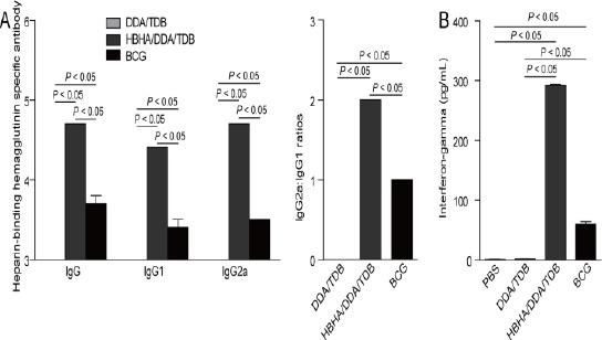 https://cdn.ncbi.nlm.nih.gov/pmc/blobs/2156/5811762/368f43b8e5ec/IJBMS-21-219-g003.jpg