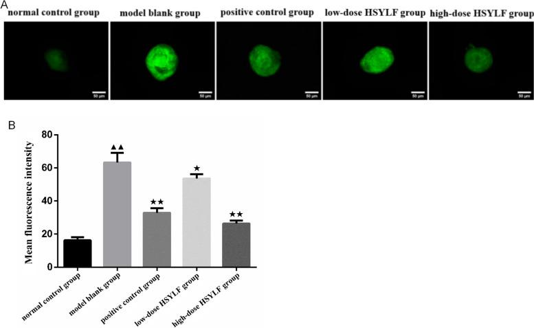 https://cdn.ncbi.nlm.nih.gov/pmc/blobs/2157/11674109/6a8ef3060984/13048_2024_1575_Fig9_HTML.jpg