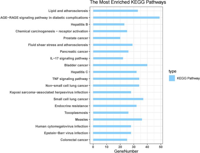 https://cdn.ncbi.nlm.nih.gov/pmc/blobs/2157/11674109/eada53442392/13048_2024_1575_Fig5_HTML.jpg