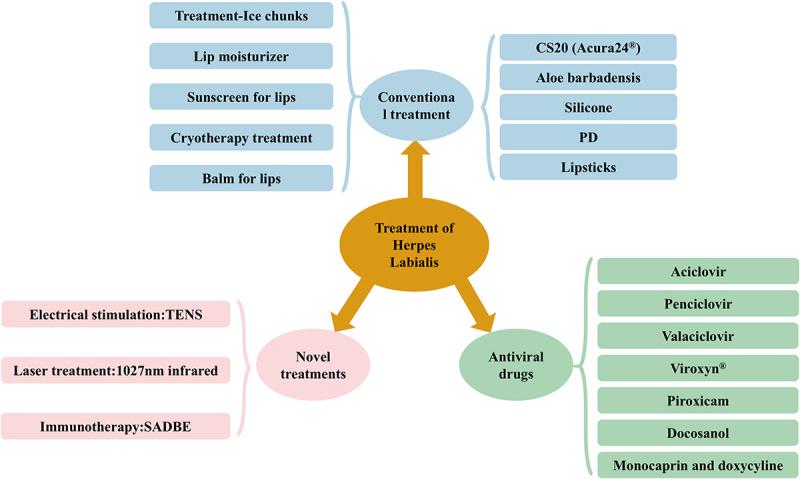 https://cdn.ncbi.nlm.nih.gov/pmc/blobs/215c/11562918/3e3611d842c4/KVIR_A_2425744_F0006_OC.jpg