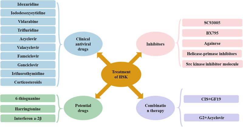 https://cdn.ncbi.nlm.nih.gov/pmc/blobs/215c/11562918/839914f56b7b/KVIR_A_2425744_F0005_OC.jpg