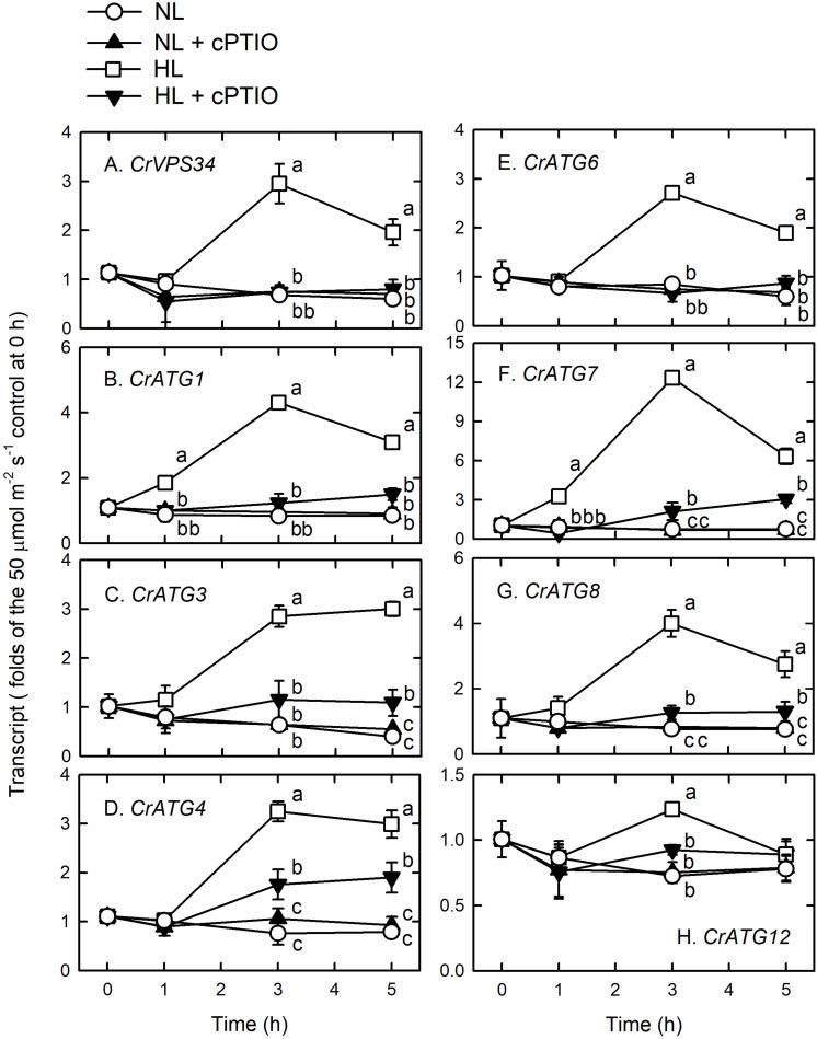 https://cdn.ncbi.nlm.nih.gov/pmc/blobs/215d/7298128/503d4bd7ec84/fpls-11-00772-g004.jpg