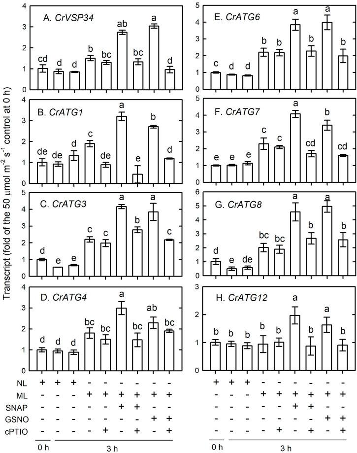 https://cdn.ncbi.nlm.nih.gov/pmc/blobs/215d/7298128/906f90cf1508/fpls-11-00772-g012.jpg