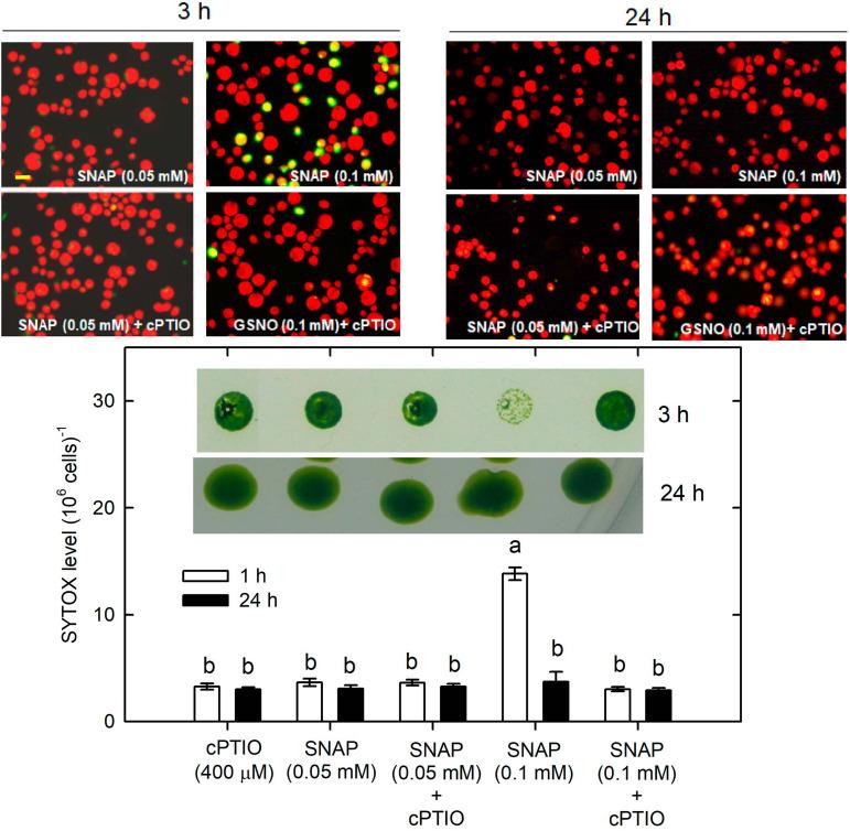 https://cdn.ncbi.nlm.nih.gov/pmc/blobs/215d/7298128/b83ef845c80d/fpls-11-00772-g009.jpg