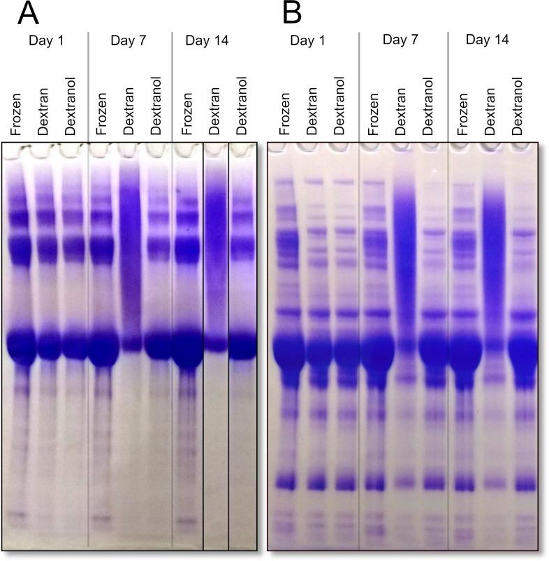 https://cdn.ncbi.nlm.nih.gov/pmc/blobs/215e/6730909/5d292c7b74cb/pone.0222006.g005.jpg