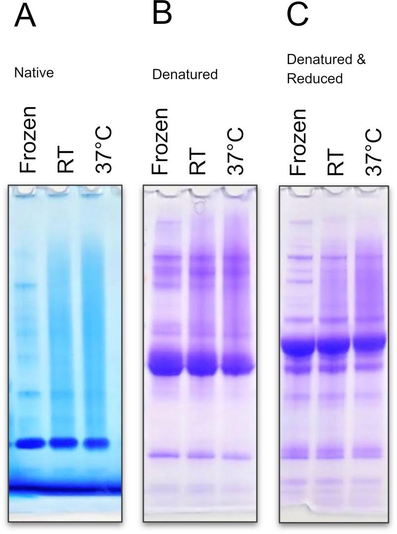 https://cdn.ncbi.nlm.nih.gov/pmc/blobs/215e/6730909/ecf008288098/pone.0222006.g002.jpg