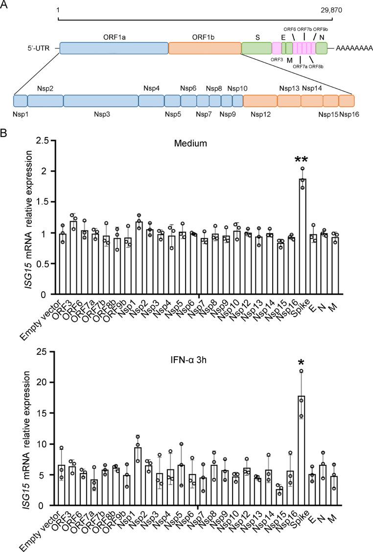 https://cdn.ncbi.nlm.nih.gov/pmc/blobs/215e/8254647/2174c73a4b78/gr1_lrg.jpg