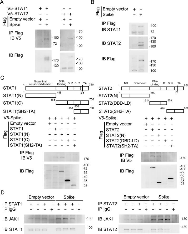 https://cdn.ncbi.nlm.nih.gov/pmc/blobs/215e/8254647/2ca9c2624035/gr4_lrg.jpg