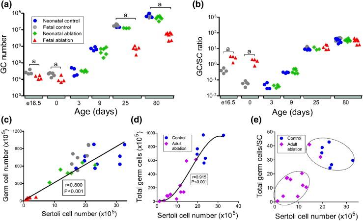 https://cdn.ncbi.nlm.nih.gov/pmc/blobs/215f/5659676/3eb16734c9ef/en.2017-00196f4.jpg