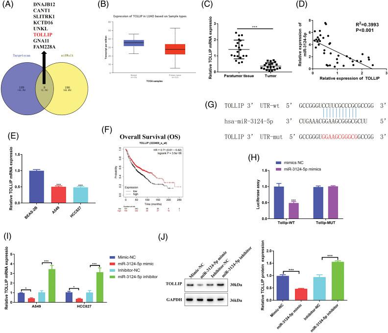https://cdn.ncbi.nlm.nih.gov/pmc/blobs/2160/11671617/bdebd68cfd1e/OncolRes-33-54141-f004.jpg
