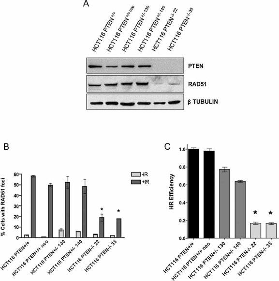 https://cdn.ncbi.nlm.nih.gov/pmc/blobs/2160/3378149/b2e4c82691ce/emmm0001-0315-f1.jpg