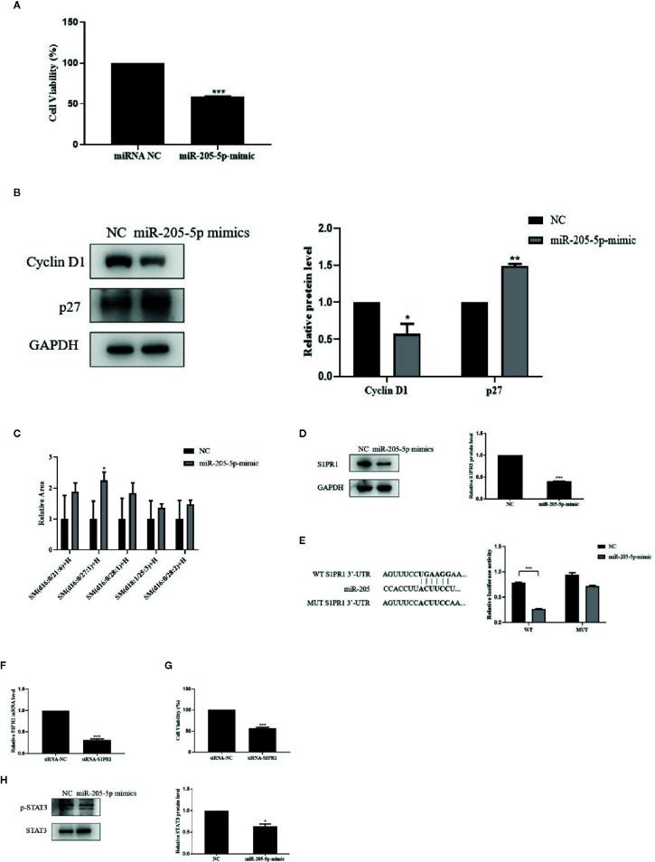 https://cdn.ncbi.nlm.nih.gov/pmc/blobs/2162/7556270/87e9a46fcf60/fphar-11-529962-g004.jpg