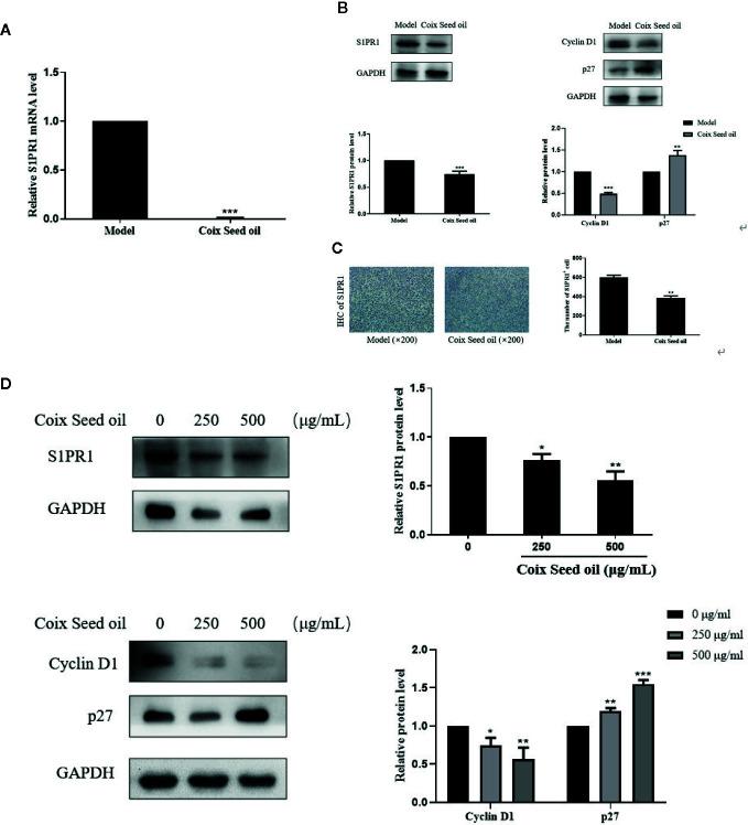 https://cdn.ncbi.nlm.nih.gov/pmc/blobs/2162/7556270/c818c177c7aa/fphar-11-529962-g005.jpg