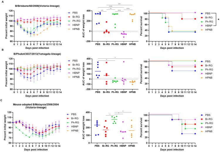 https://cdn.ncbi.nlm.nih.gov/pmc/blobs/2163/10821225/31ad2a4e4d4d/vaccines-12-00095-g011.jpg