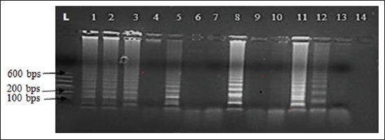 https://cdn.ncbi.nlm.nih.gov/pmc/blobs/2163/5732347/8697f363712b/VetWorld-10-1383-g001.jpg