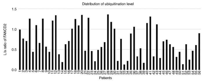 https://cdn.ncbi.nlm.nih.gov/pmc/blobs/2164/6403512/d307764f4b50/ol-17-04-3687-g04.jpg