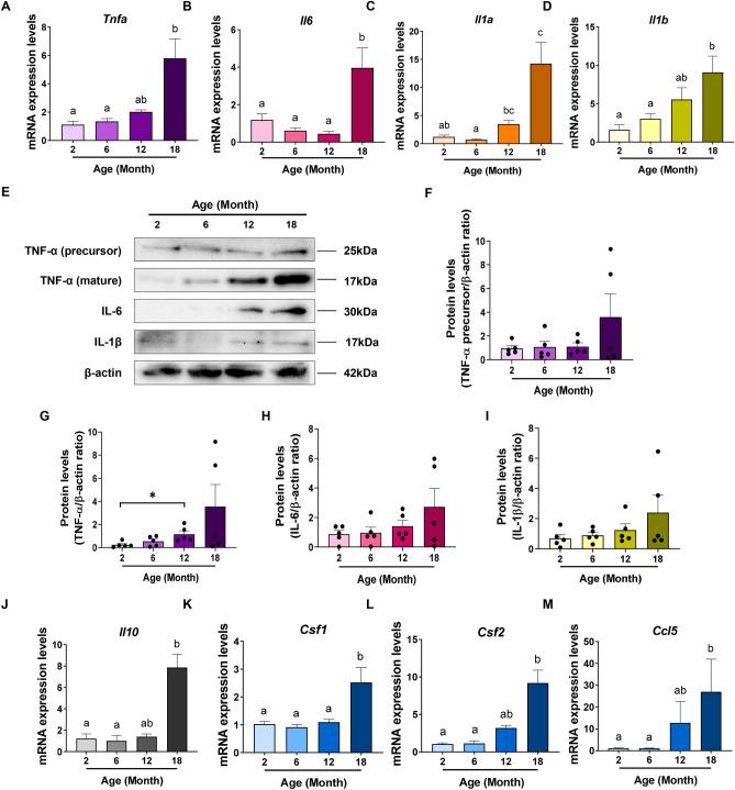 https://cdn.ncbi.nlm.nih.gov/pmc/blobs/2164/7801638/7476899fdf17/41598_2020_79488_Fig3_HTML.jpg