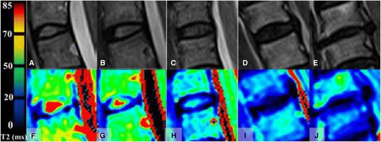 https://cdn.ncbi.nlm.nih.gov/pmc/blobs/2165/5282844/3cb823505b86/12880_2017_182_Fig1_HTML.jpg