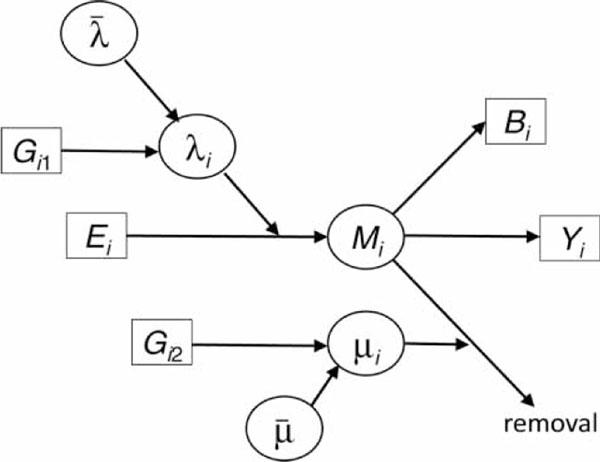 https://cdn.ncbi.nlm.nih.gov/pmc/blobs/2167/3500186/0ccbe55360ff/1479-7364-4-1-21-2.jpg