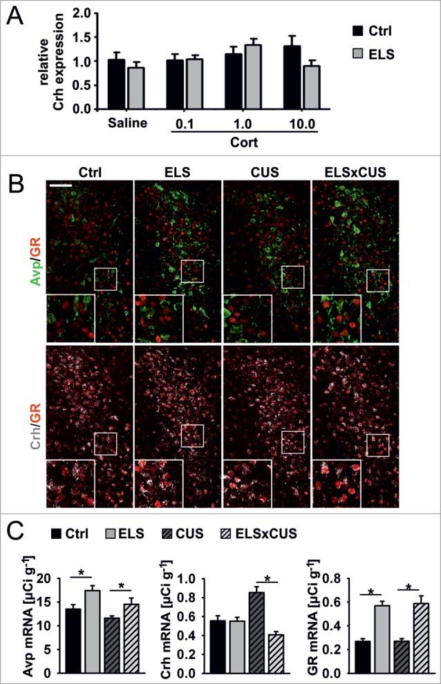 https://cdn.ncbi.nlm.nih.gov/pmc/blobs/2168/4622987/b13a0ca09008/kepi-10-03-1017199-g005.jpg