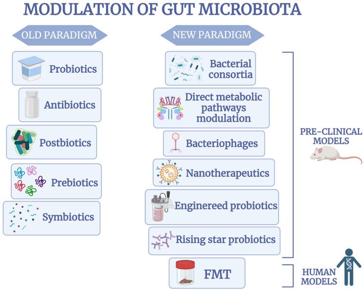 https://cdn.ncbi.nlm.nih.gov/pmc/blobs/2169/11988433/20e99e7a4921/ijms-26-03059-g001.jpg