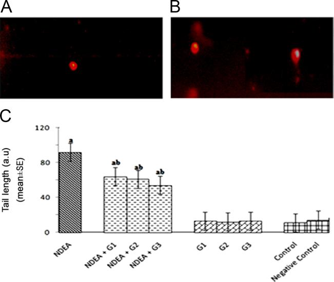 https://cdn.ncbi.nlm.nih.gov/pmc/blobs/2169/5761469/23ecb539308a/gr9.jpg