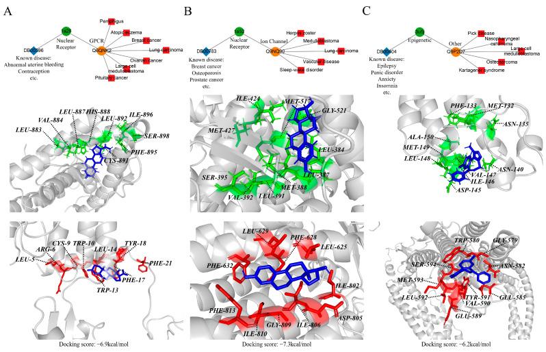 https://cdn.ncbi.nlm.nih.gov/pmc/blobs/216b/11767986/96b3350b615a/molecules-30-00260-g005.jpg