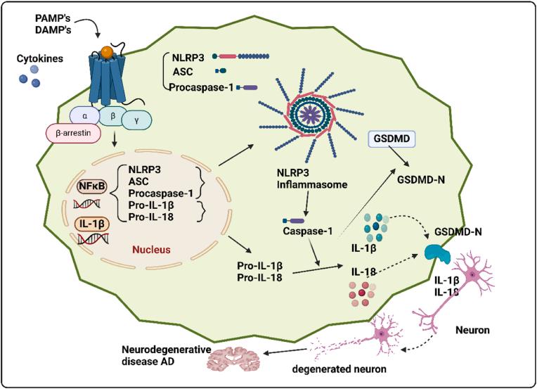 https://cdn.ncbi.nlm.nih.gov/pmc/blobs/216d/12281026/43d3c9ef3979/gr4.jpg