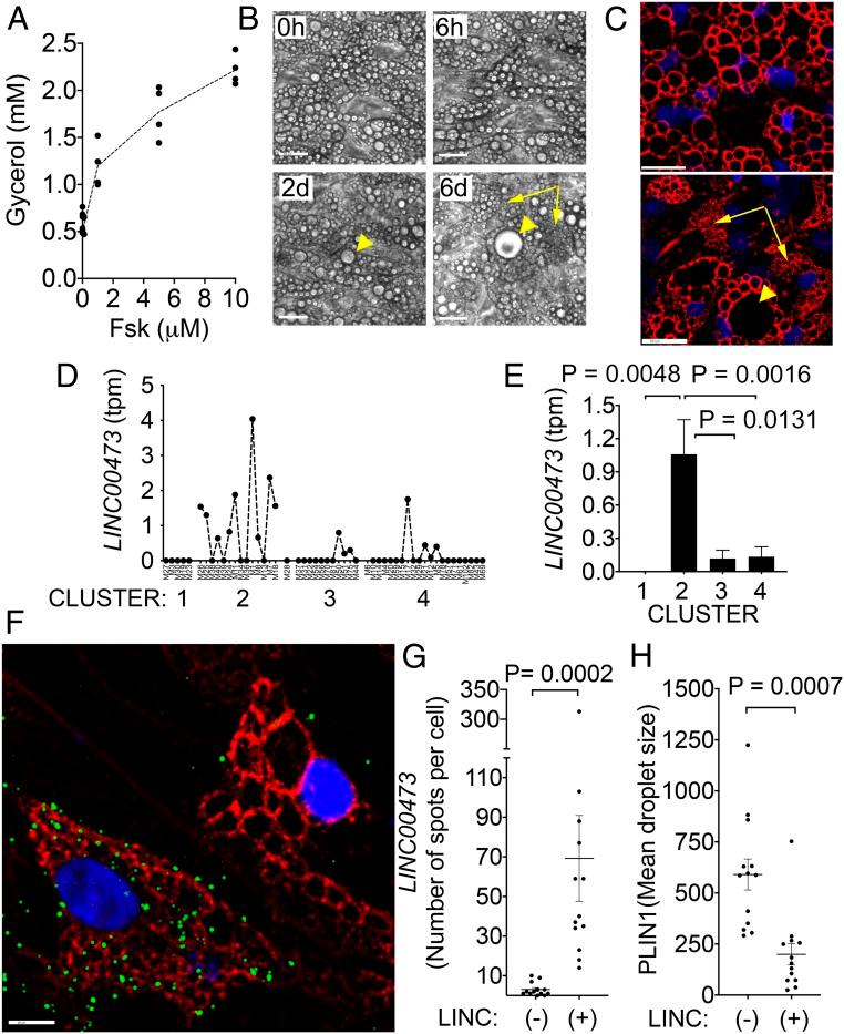 https://cdn.ncbi.nlm.nih.gov/pmc/blobs/216e/6731669/142dacb1c8a5/pnas.1906512116fig03.jpg