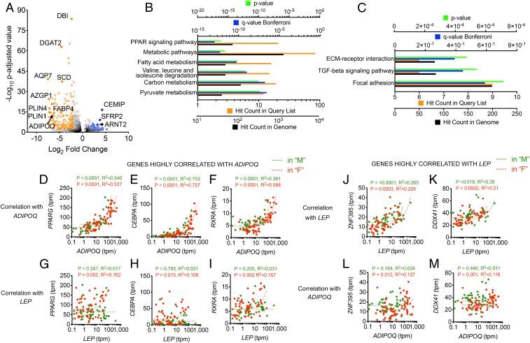 https://cdn.ncbi.nlm.nih.gov/pmc/blobs/216e/6731669/cc2ec03b9fb8/pnas.1906512116fig06.jpg