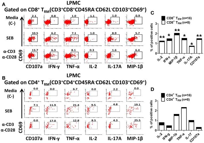 https://cdn.ncbi.nlm.nih.gov/pmc/blobs/2170/4062881/0e15e8d80d57/fimmu-05-00294-g005.jpg